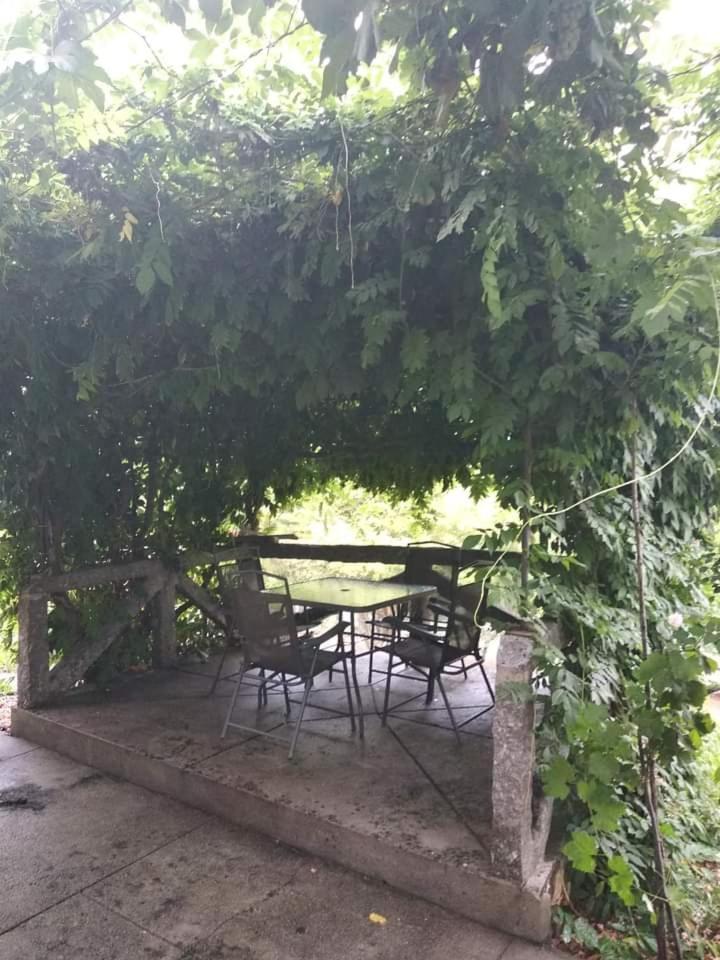 Casa Da Vovo Villa Amarante Cameră foto
